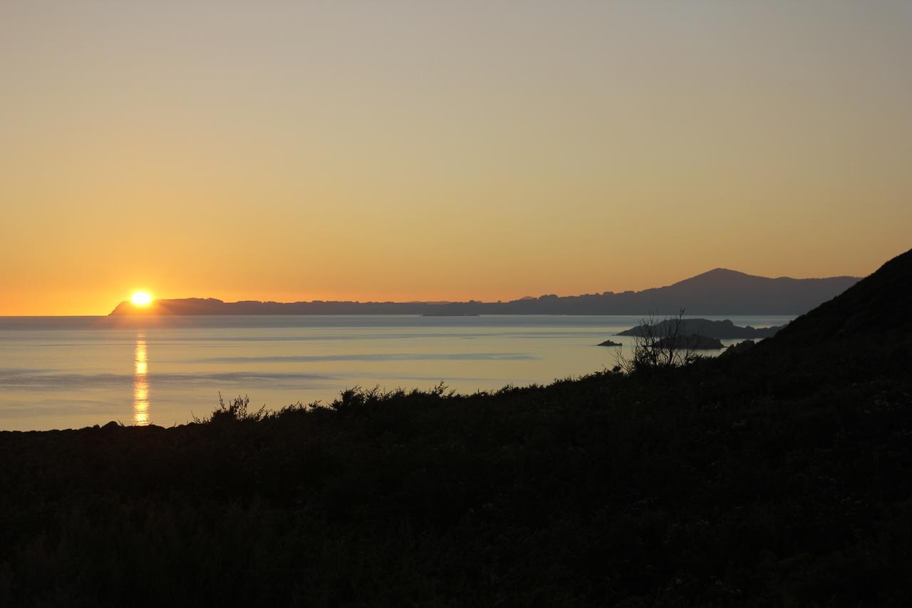 Eagle'S Roost Farmstay B&B Rocky Cape Esterno foto