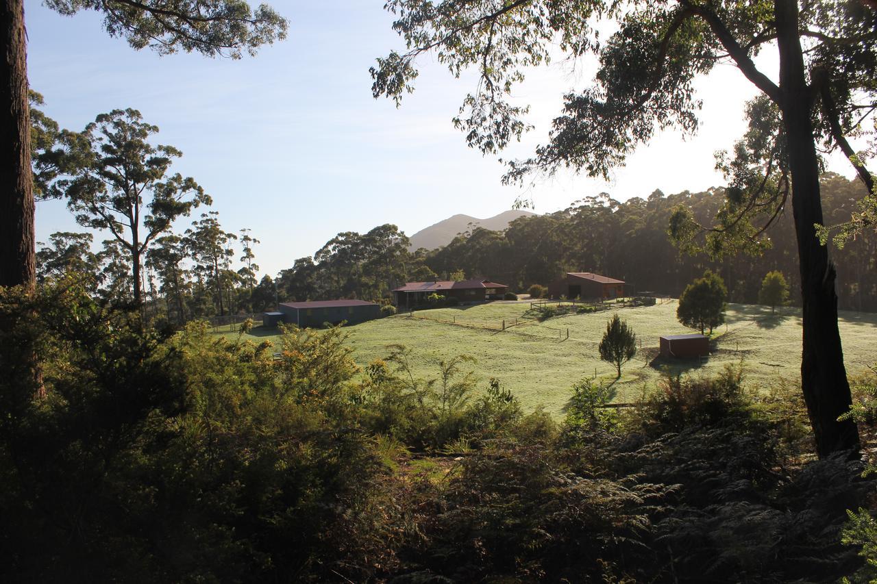 Eagle'S Roost Farmstay B&B Rocky Cape Esterno foto