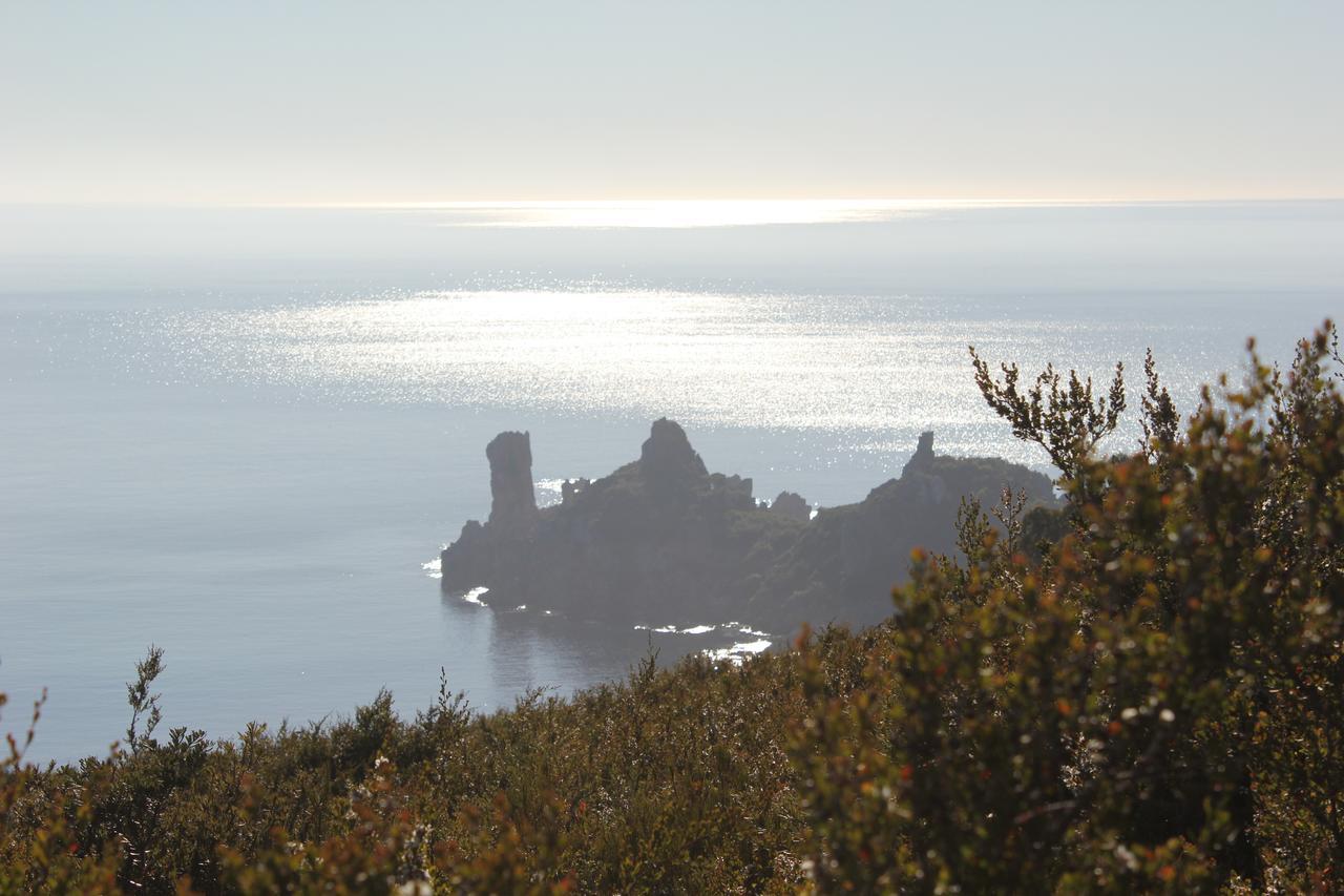 Eagle'S Roost Farmstay B&B Rocky Cape Esterno foto