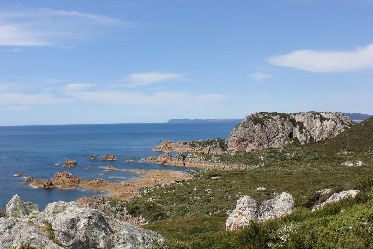 Eagle'S Roost Farmstay B&B Rocky Cape Esterno foto